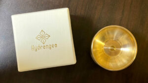 Hydrangea : Lycoris [FEATURED PRODUCTS from Tokyo Shibuya Store]