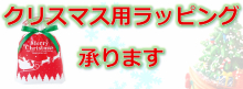 right-banner-christmas-wrap_resized